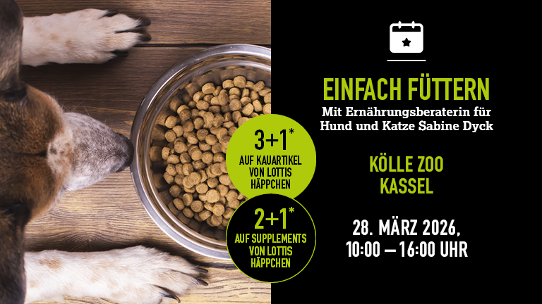 280326 Ernhrungsberatung Kassel Mobile 768x432px