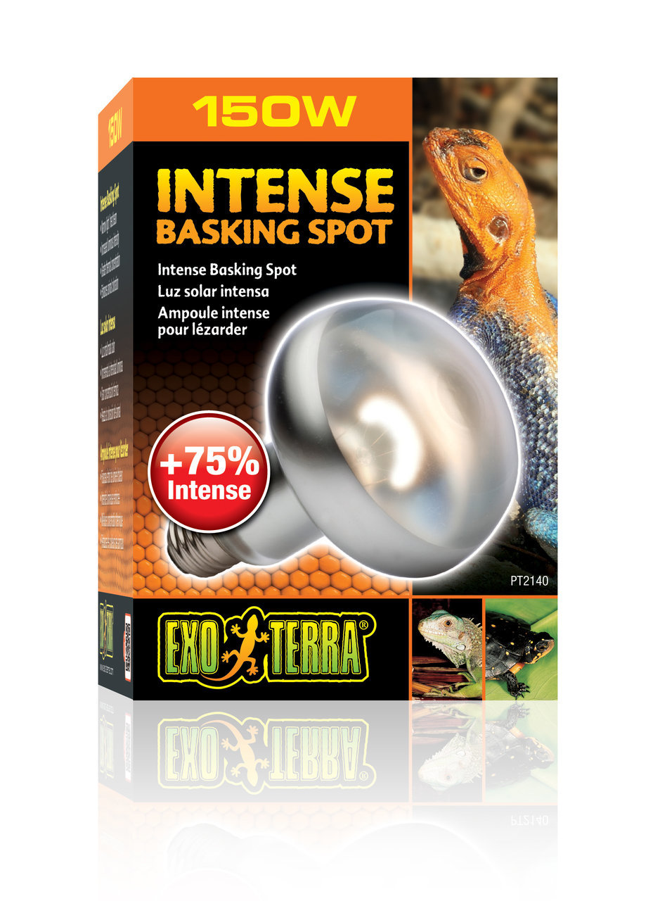 Exo Terra Intense Basking Spot Lampe 150W, Reptilien, +75% Lichtleistung, intensive Wärmequelle, fördert Sonnenbaden, Terrarien.