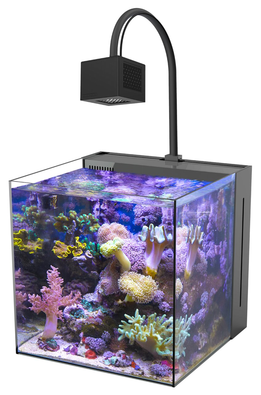 Aqua Medic Cubicus 40 LED: Nano-Meerwasseraquarium, LED-Beleuchtung, ideal für Salzwasserfische & Korallen, hochwertig.