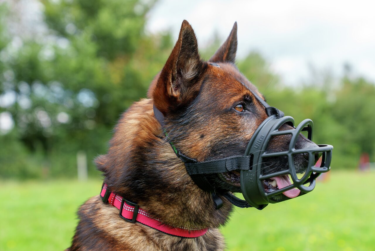 Baskerville Ultra Maulkorb Gr. 4, schwarz, für mittlere/große Hunde, ergonomisch, sicher, komfortabel, ermöglicht Hecheln & Trinken.