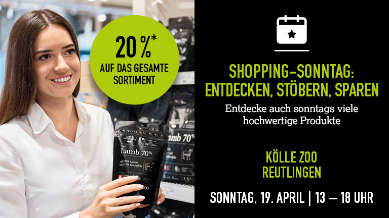 190426 Vos Reutlingen Mobile 768x432px