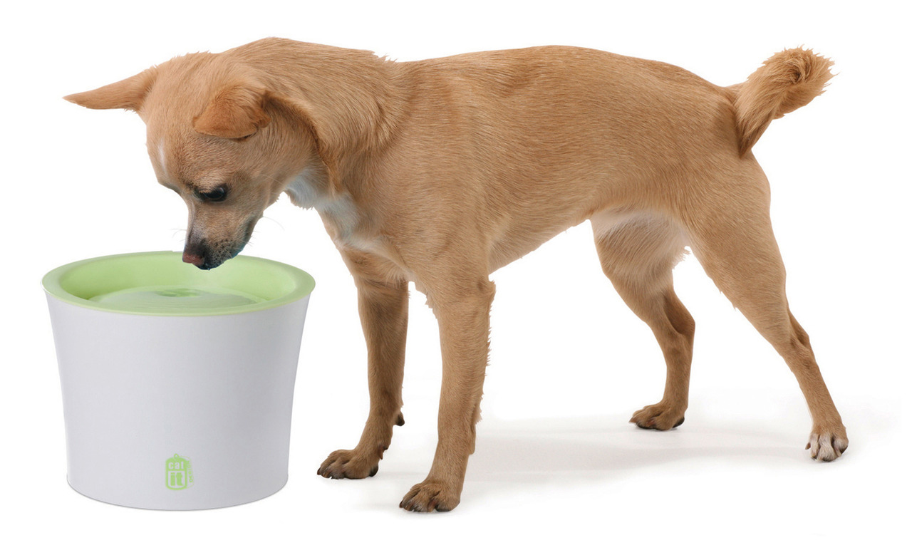 Catit Trinkbrunnen, weiß/grün, für Hunde & Katzen, sorgt für frisches, zirkulierendes Wasser. Ideal für tägliche Hydration.