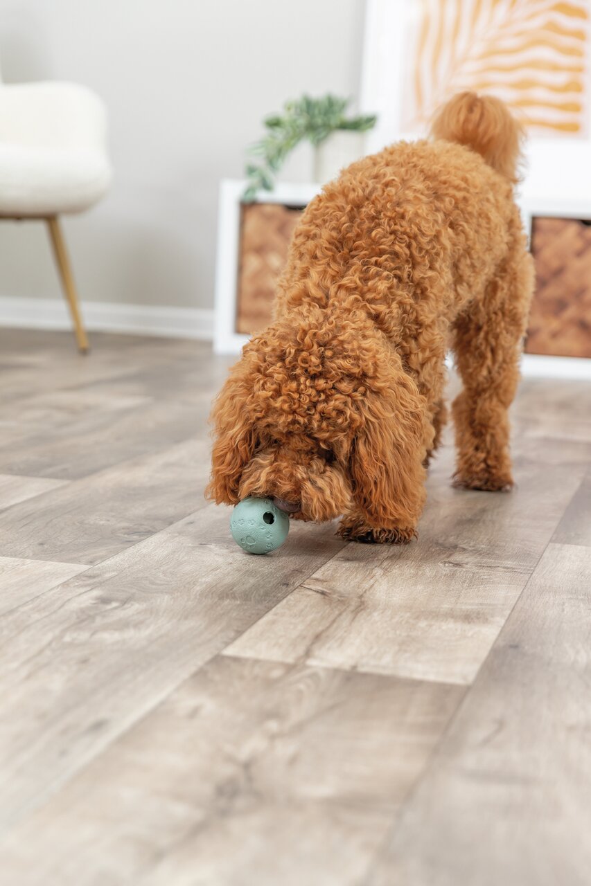 TRIXIE Snackball, mintgrün, 6 cm, für Hunde, ideal zur Beschäftigung & Belohnung.