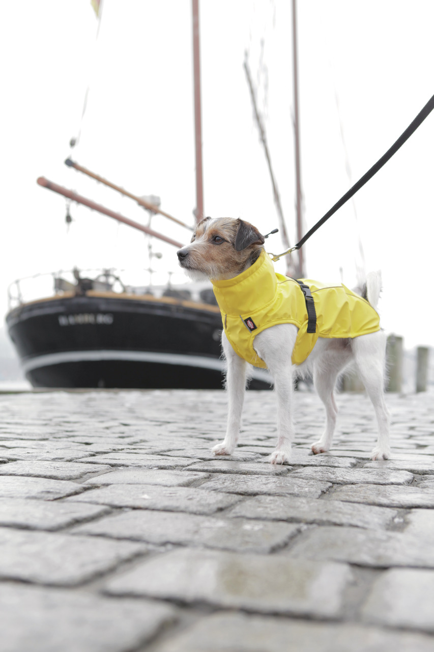 TRIXIE Regenmantel für Hunde, schützt vor Nässe, gelb, geeignet für kleine Hunde wie Terrier.