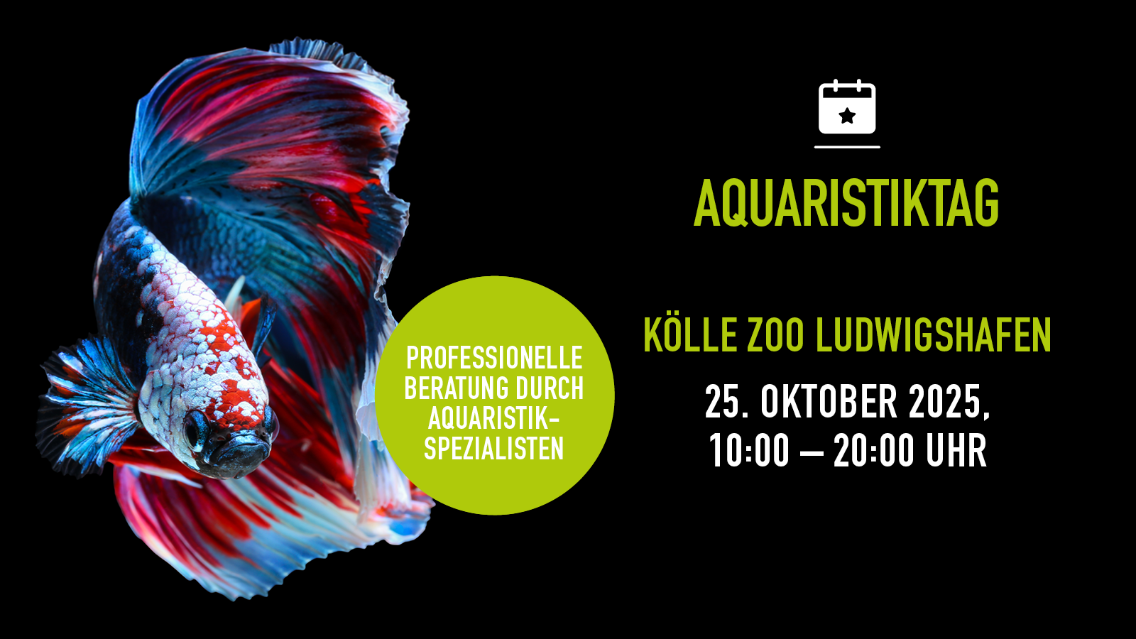 Kw42 1810 Aquatag Ludwigshafen Mobile