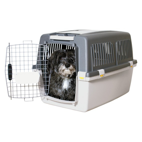 TRIXIE Transportbox f. kl.-mittelgr. Hunde, robust, Kunststoff, graue Ober--helle Unterseite, Metallgittertür, Lüftung, sicher.