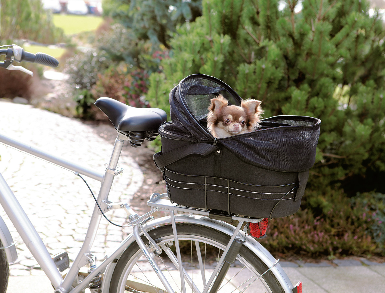 Auf dem Bild ist ein silbernes Fahrrad mit einem schwarzen Fahrradkorb der Marke TRIXIE zu sehen, der auf dem Gepäckträger montiert ist. Im Korb sitzt ein kleiner Chihuahua, der neugierig herausschaut. Der Korb ist mit einem Netz abgedeckt, das für Sicher