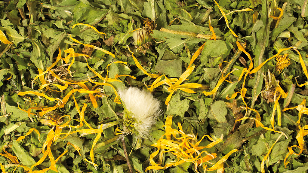 JR FARM Löwenzahn, Futter für Kaninchen & Meerschweinchen, mit Löwenzahn & Ringelblumen, reich an Nährstoffen.