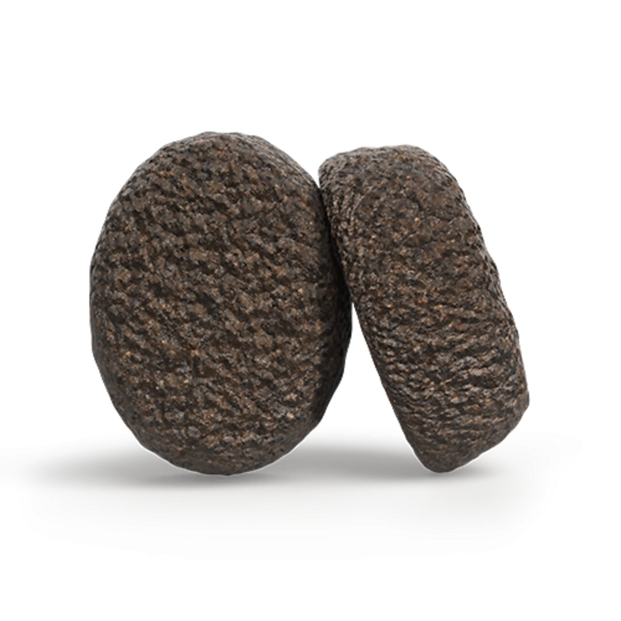 Josera Hundetrockenfutter für ausgewachsene Hunde, Geschmacksrichtung Ente, ohne Weizen, knusprige Kroketten (Bild zeigt 2 Stück).