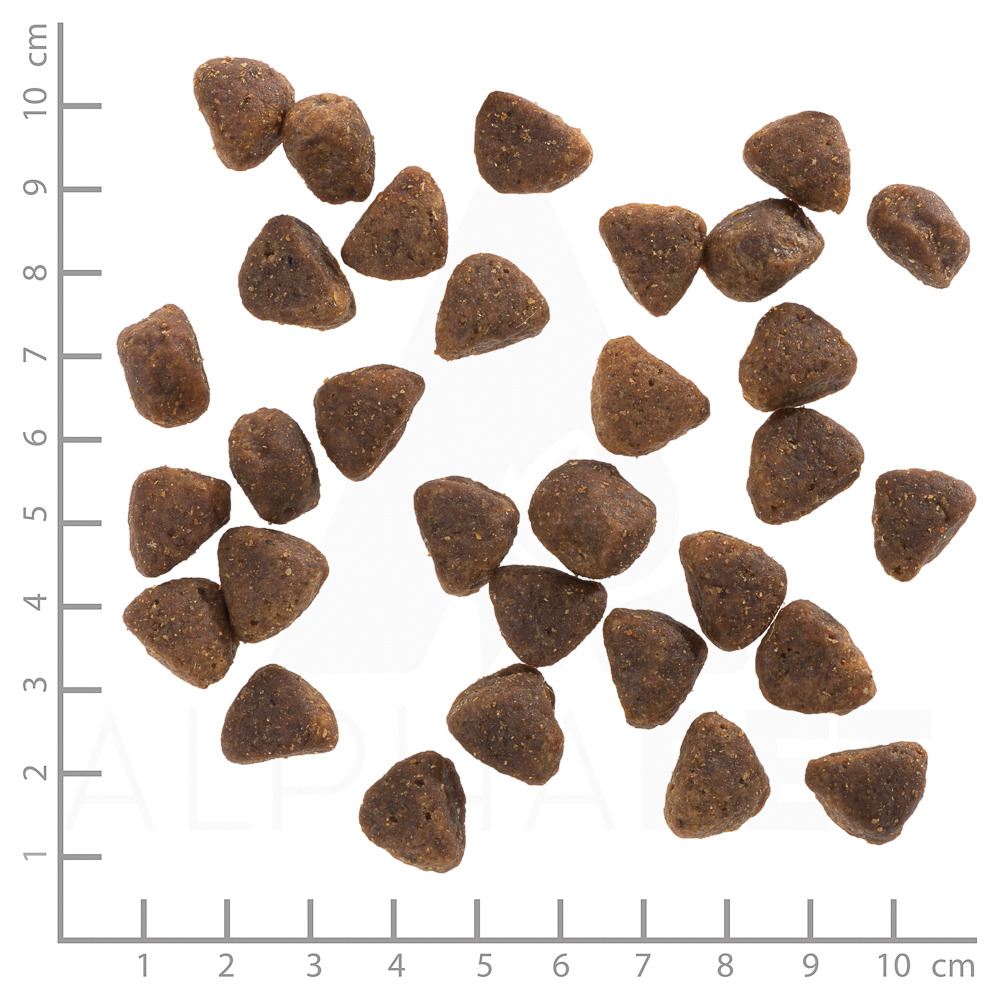 Wolfsblut Trockenfutter "Wild Duck" für ausgewachsene Hunde, Entengeschmack, 1-2 cm Kroketten, braun, dreieckig.