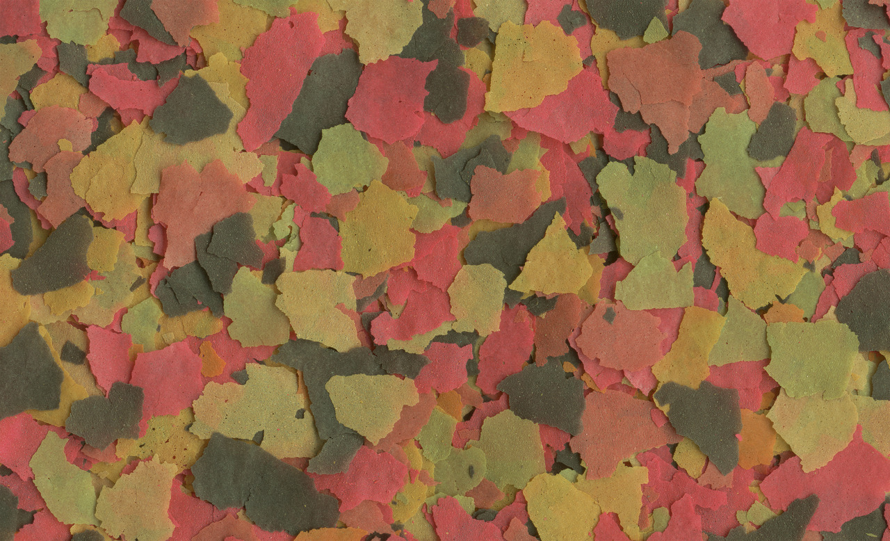 Tetra TetraMin Flockenfutter, für Zierfische, Süßwasser, fördert Gesundheit, Farbenpracht & Vitalität, 125g.