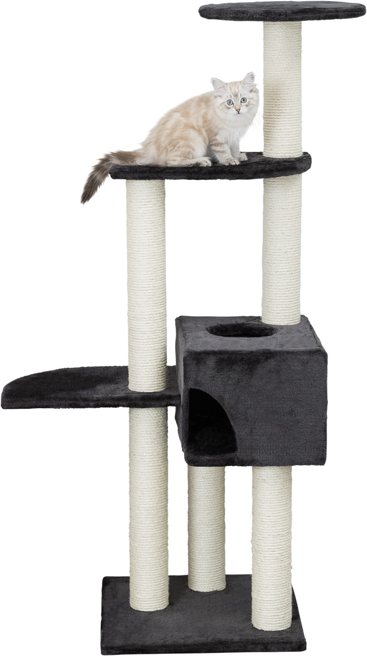 Das Bild zeigt den TRIXIE Kratzbaum „Filou“, ein Produkt für Katzen. Der Kratzbaum ist ideal für Hauskatzen und bietet mehrere Ebenen, eine Höhle und Sisalstämme zum Kratzen. Die Farbe ist Schwarz und Beige. Ein cremefarbener Kater sitzt auf einer der Pla